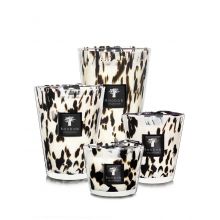 Bougies Baobab Collection Black Pearls