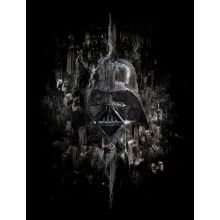 Laurent Pons  DARTH VADER - Limited Edition