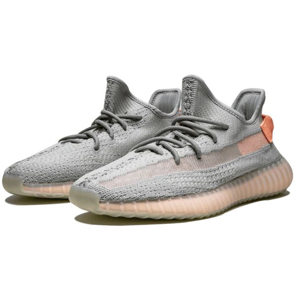 Vernederen Onbekwaamheid bidden Sneakers Adidas Yeezy Boost 350 V2 True Form - Connect Paris